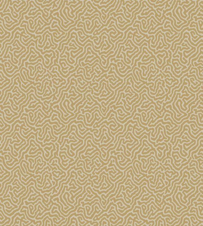 Vermicelli Wallpaper - Sand - Cole & Son