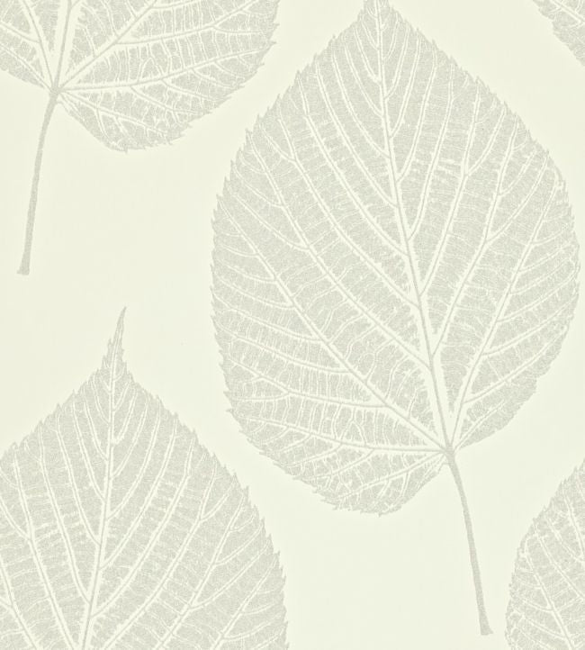 Leaf Wallpaper - White