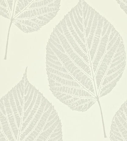 Leaf Wallpaper - White