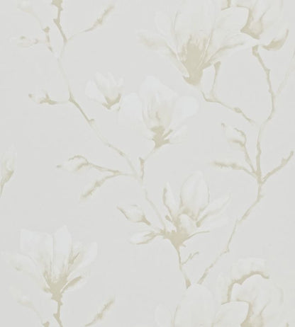 Lotus Wallpaper - White