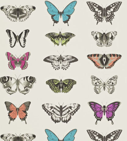 Papilio Wallpaper - Multicolor