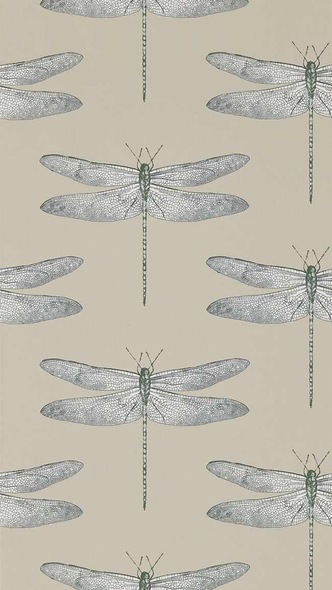 Demoiselle Wallpaper - White 