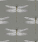 Demoiselle Wallpaper - Gray 