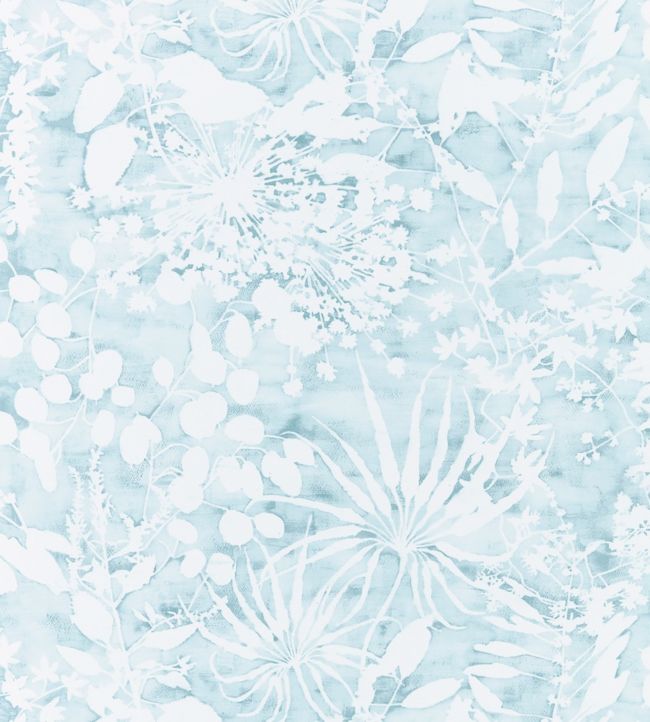 Coralline Wallpaper - Teal 