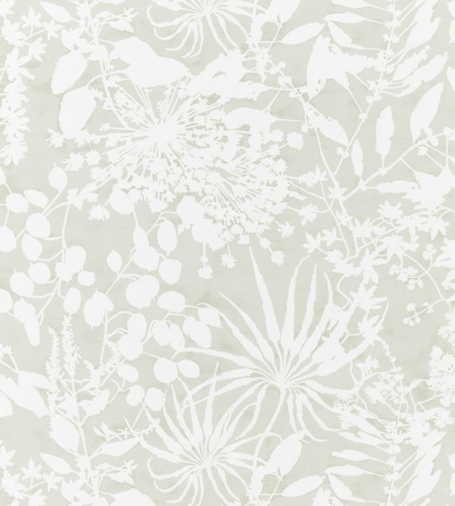 Coralline Wallpaper - Gray 