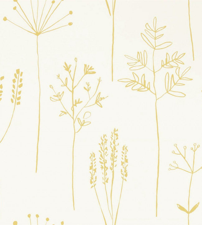 Stipa Wallpaper - Cream