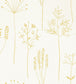 Stipa Wallpaper - Cream