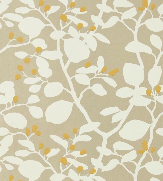 Ardisia Wallpaper - Sand