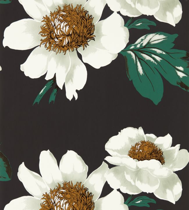 Paeonia Wallpaper - Black