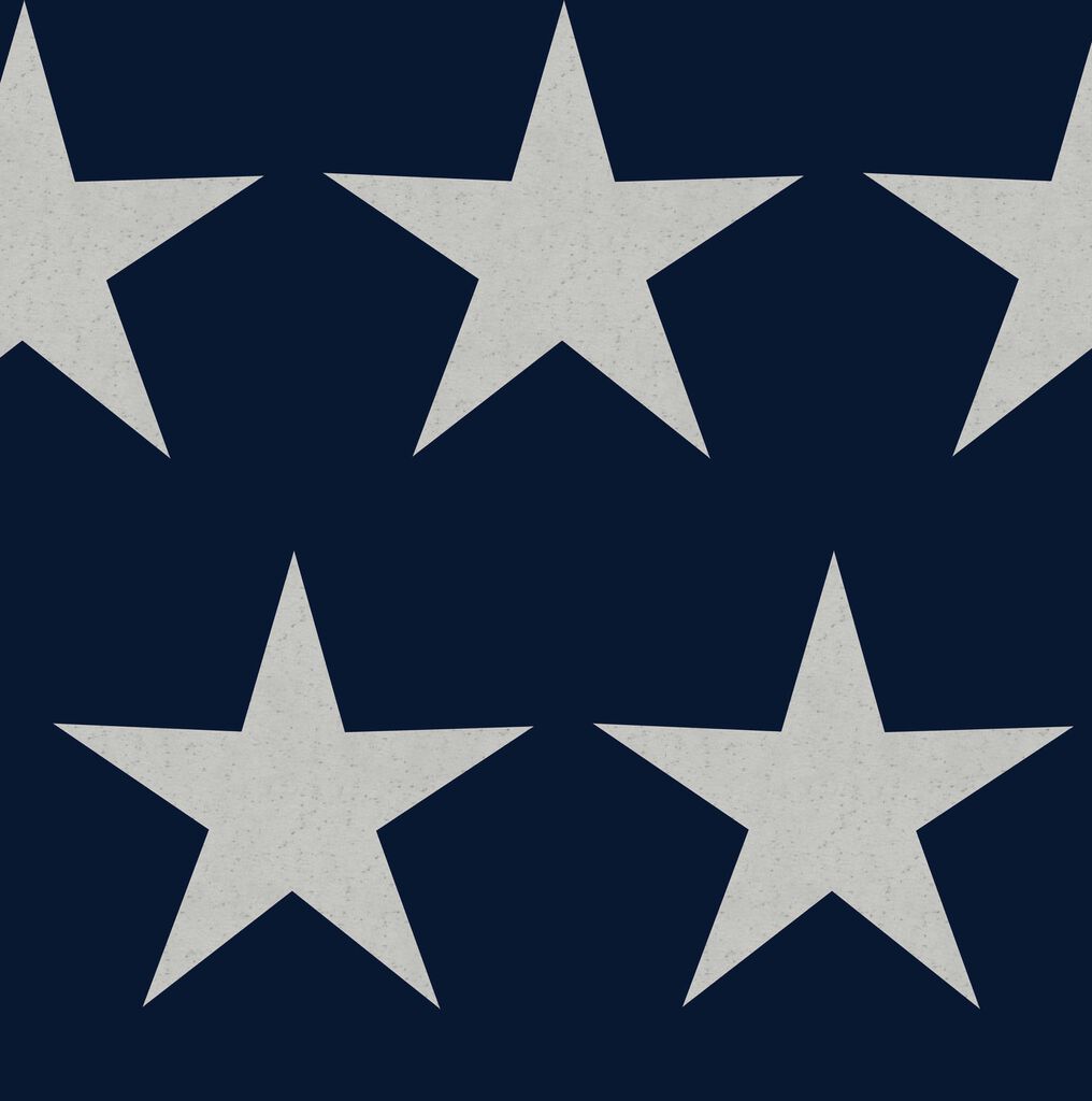 Stars Navy Blue Nursey Wallpaper - Blue