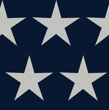 Stars Navy Blue Nursey Wallpaper - Blue