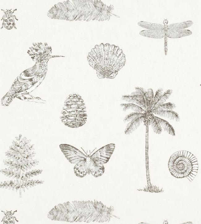 Cocos Nursey Wallpaper - Gray 