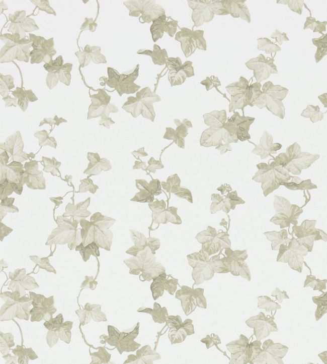 Hedera Wallpaper - Gray