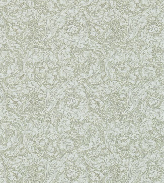 Bachelors Button Wallpaper - Gray