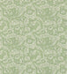 Bachelors Button Wallpaper - Green