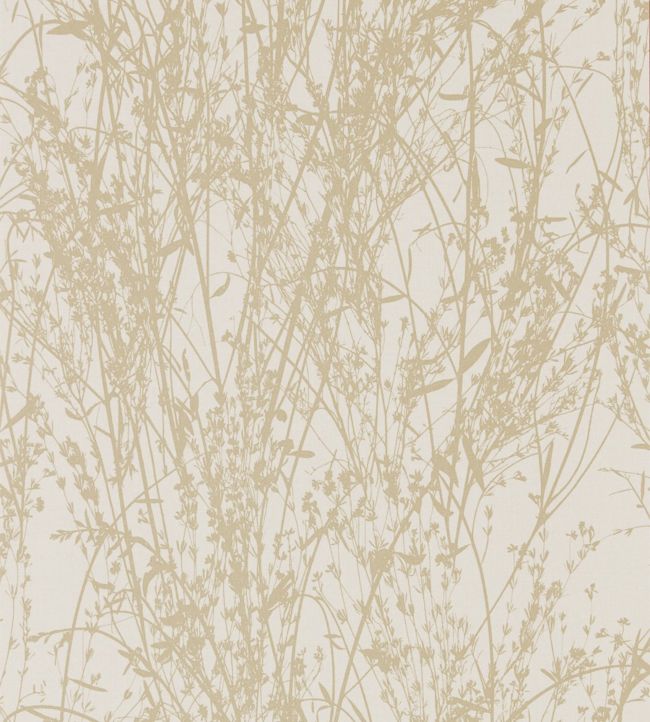 Meadow Canvas Wallpaper - Sand