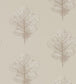 Oak Filigree Wallpaper - Cream 