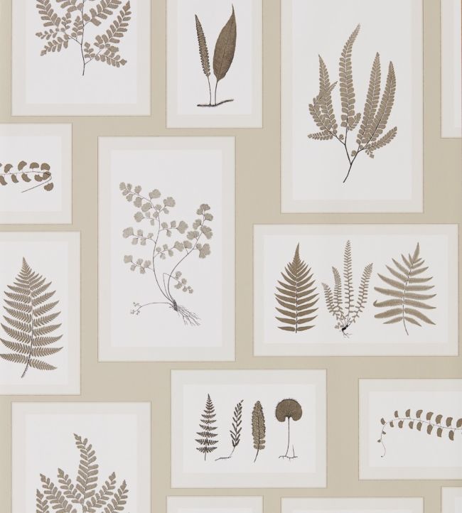 Fern Gallery Wallpaper - Cream