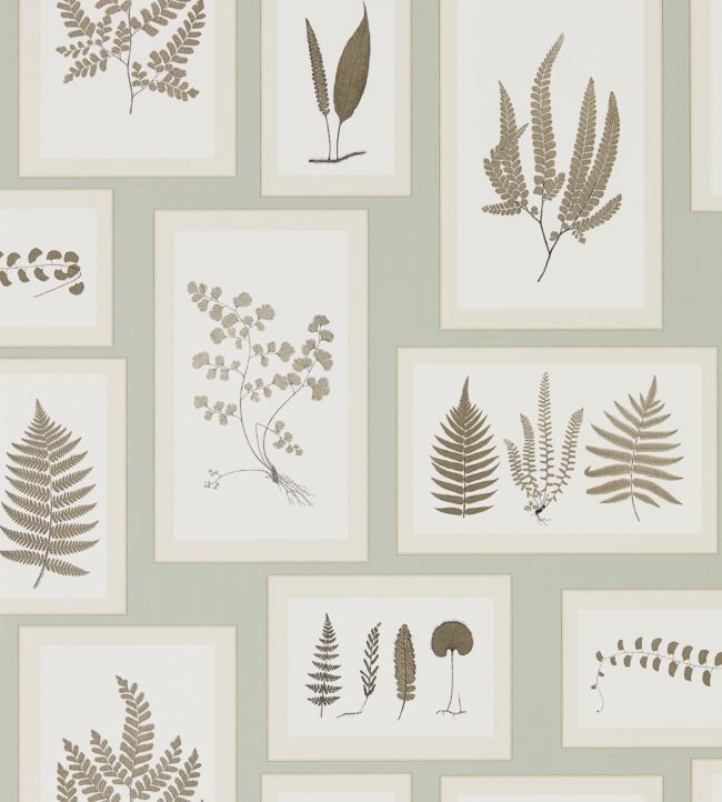 Fern Gallery Wallpaper - Gray