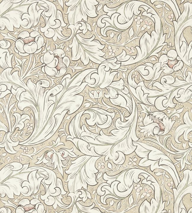 Pure Bachelors Button Wallpaper - Cream