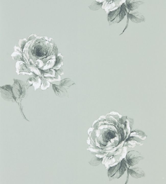 Rosa Wallpaper - Gray