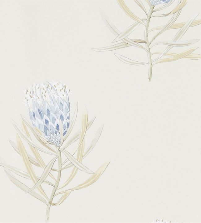 Protea Flower Wallpaper - White 