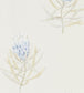 Protea Flower Wallpaper - White 