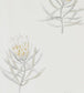 Protea Flower Wallpaper - Gray 