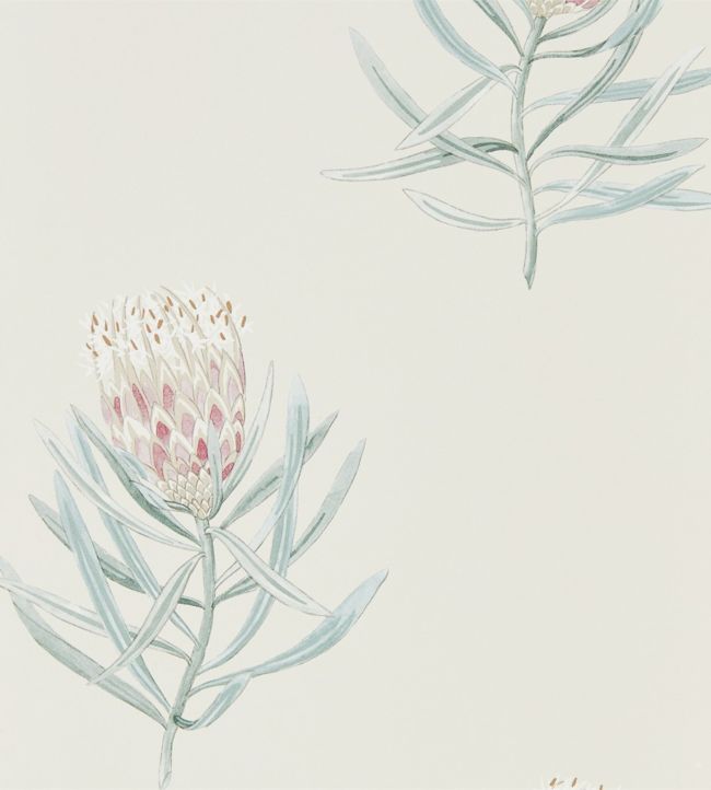 Protea Flower Wallpaper - Purple 