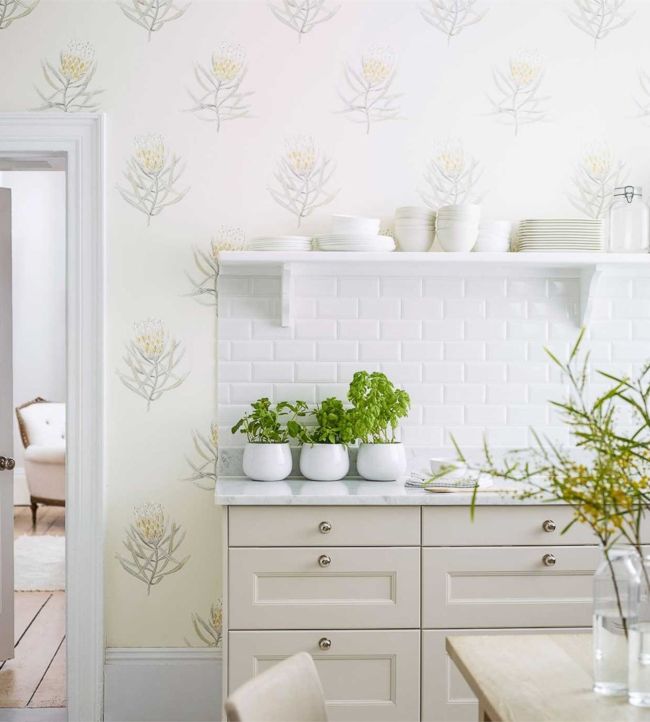 Protea Flower Room Wallpaper - Gray