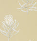 Protea Flower Wallpaper - Sand 