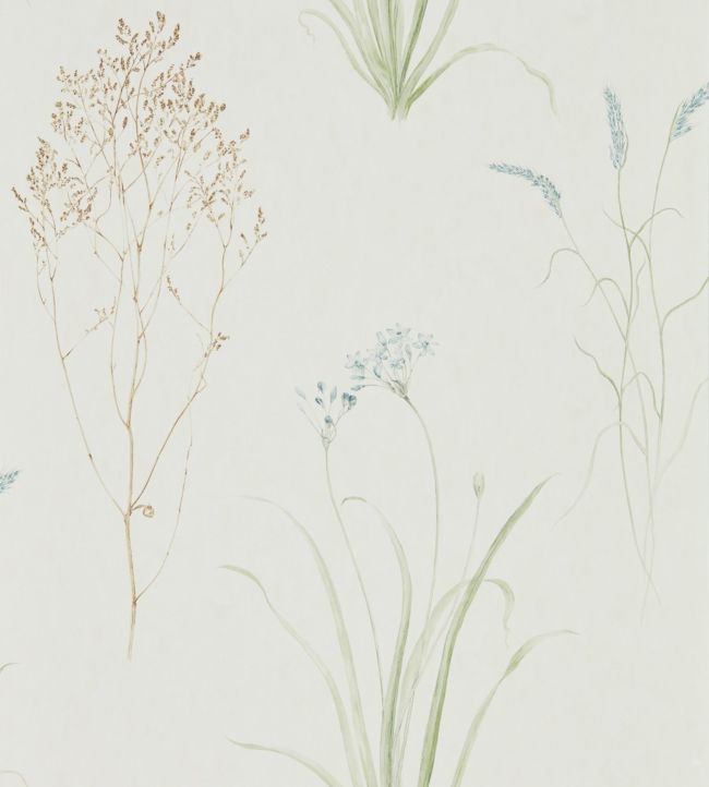 Farne Grasses Wallpaper - White