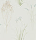 Farne Grasses Wallpaper - White