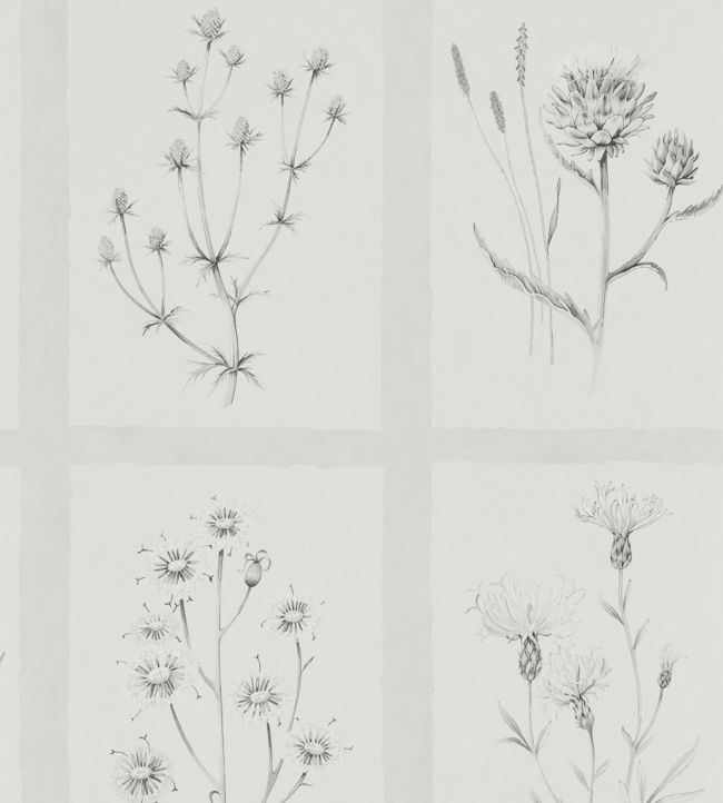 Little Thistles Wallpaper - Silver