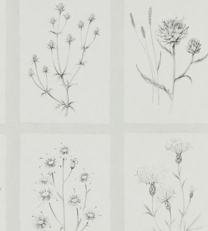 Little Thistles Wallpaper - Silver