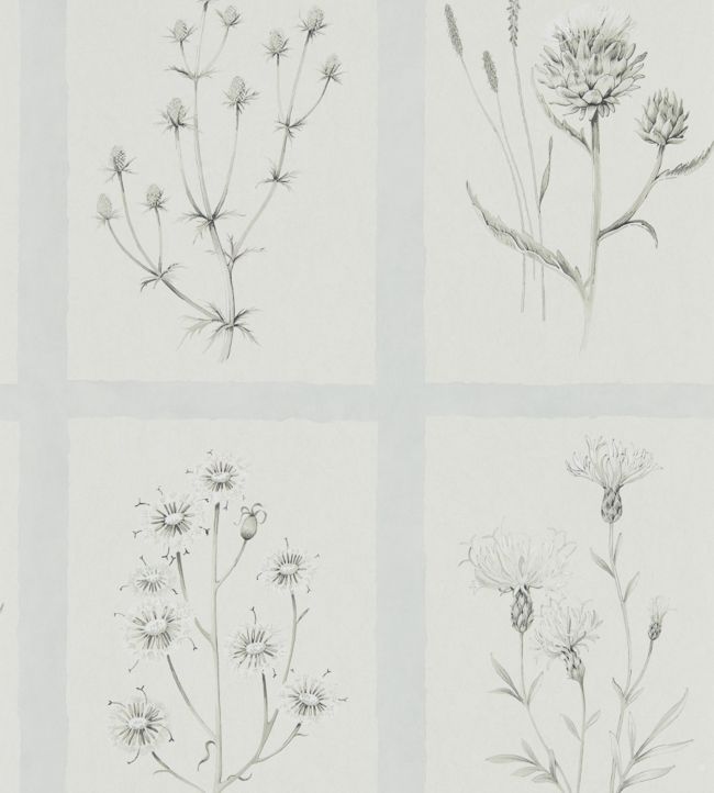 Little Thistles Wallpaper - Gray