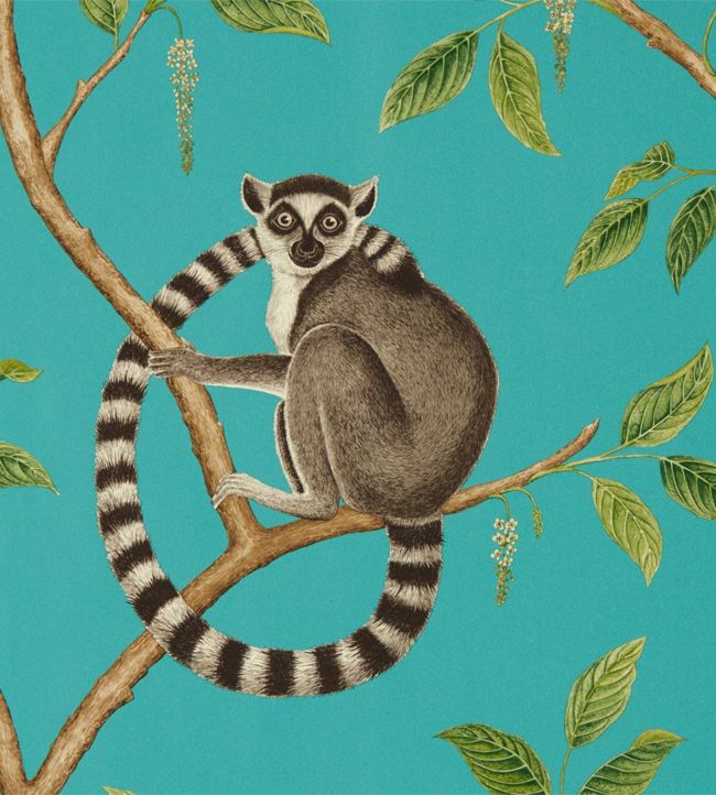 Ringtailed Lemur Wallpaper - Teal