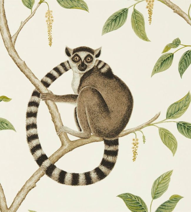 Ringtailed Lemur Wallpaper - Green 