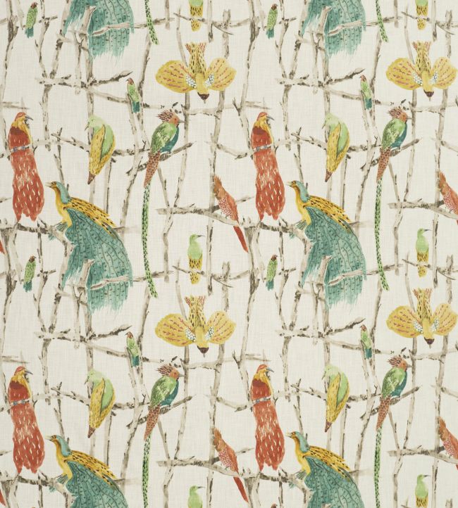 Exotic Birds Fabric - Multicolor