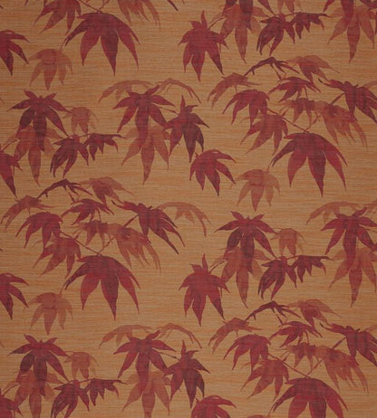 Acer Wallpaper - Orange - Zoffany