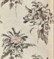 Evelyn Wallpaper - Cream - Zoffany