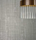 Watered Silk Wallpaper - Gray - Zoffany