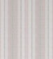 Surat Stripe Fabric - Pink 