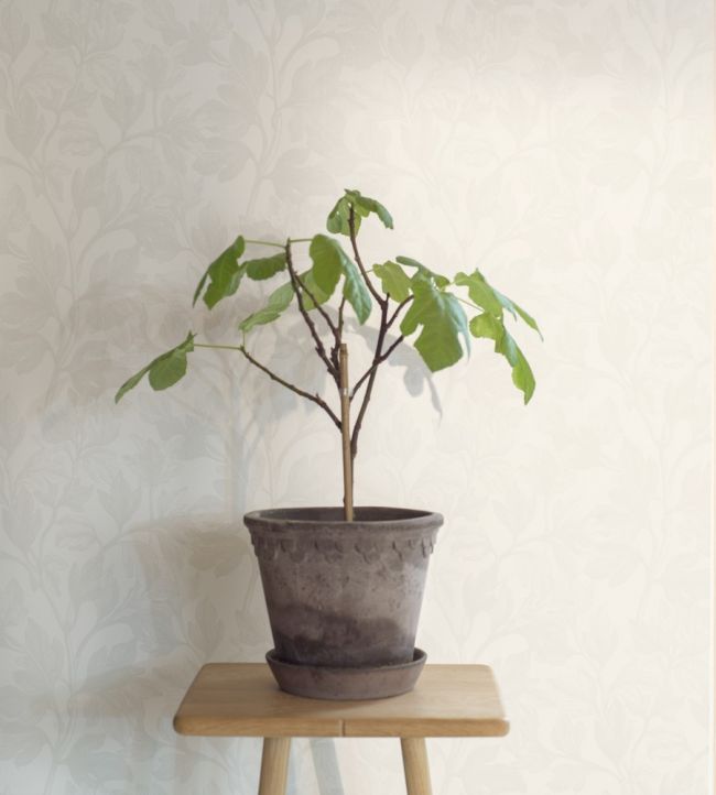 Fig Room Wallpaper - White