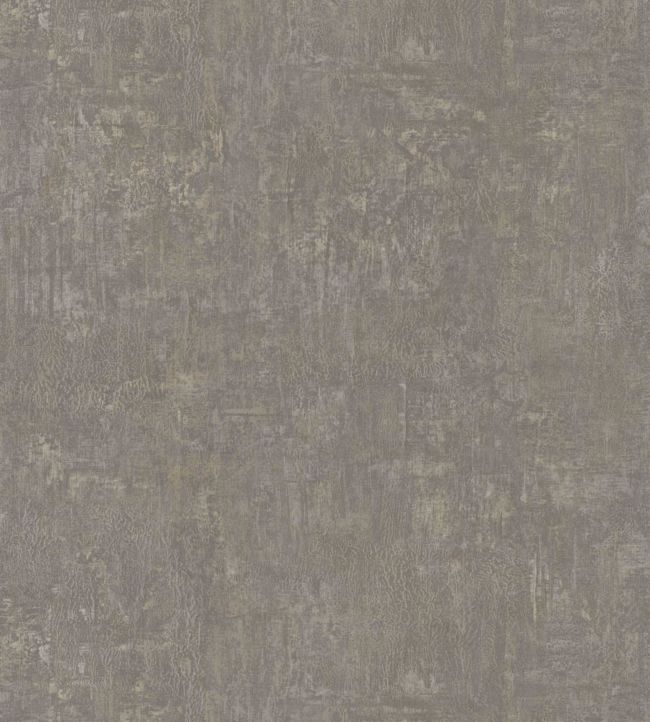 Physcia Wallpaper - Gray 