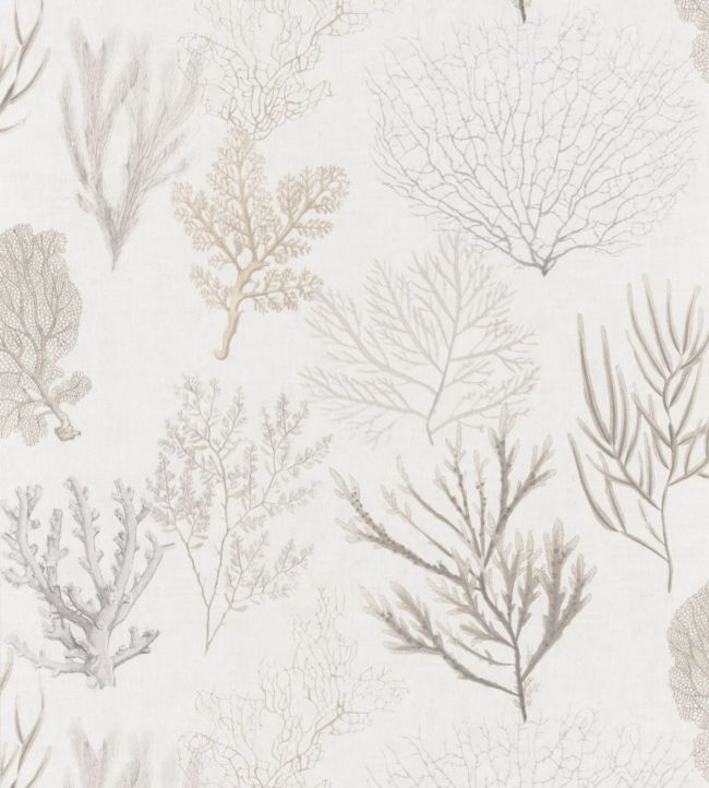 Corail Wallpaper - Gray 