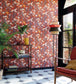 Habana Room Wallpaper - Red