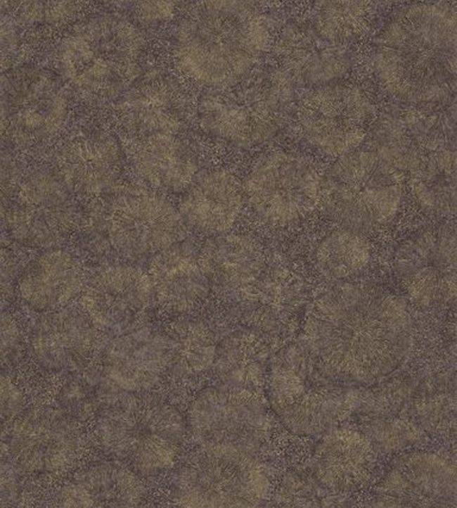 Fossilium Wallpaper - Brown