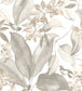 Birdsong Wallpaper - Gray