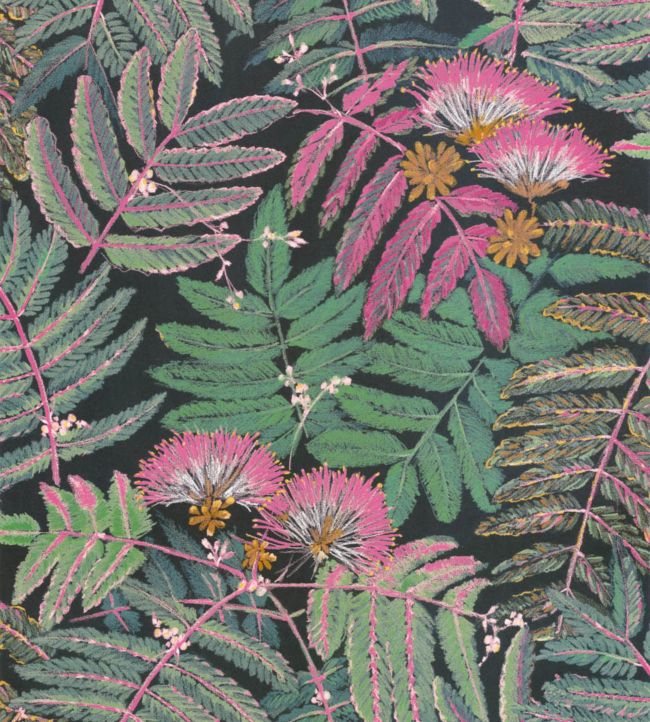 Albizia Wallpaper - Multicolor